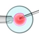 Important Advantages of IVF Treatment That Every Hopeful Parents Should Know
